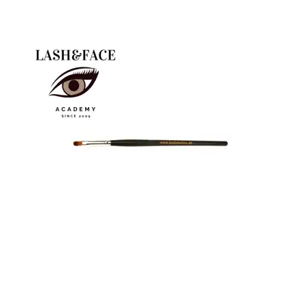 Intensive Developer Cosmetic Brush  - štetec