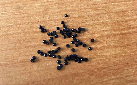 Swarovski kamienky č.12 - 20 kus - 1,5mm - čierne